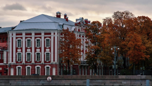 СПбГУ открывает дистанционную общеобразовательную школу для иностранцев